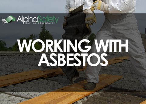 Working with Asbestos image